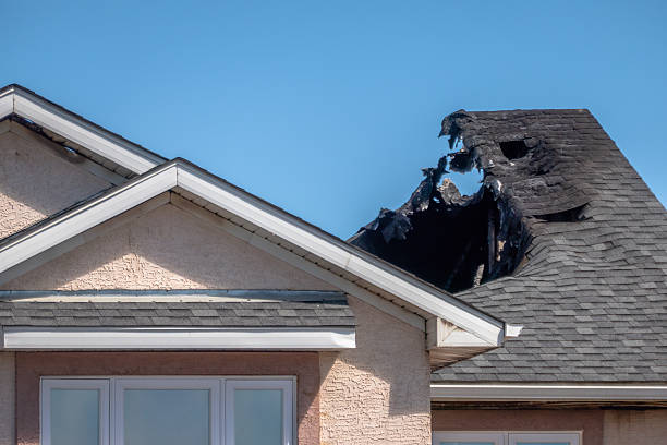 Top rated local Fire Damage Cleanup specialists in Ellenton, FL